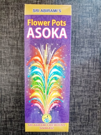 Flower pot Ashoka